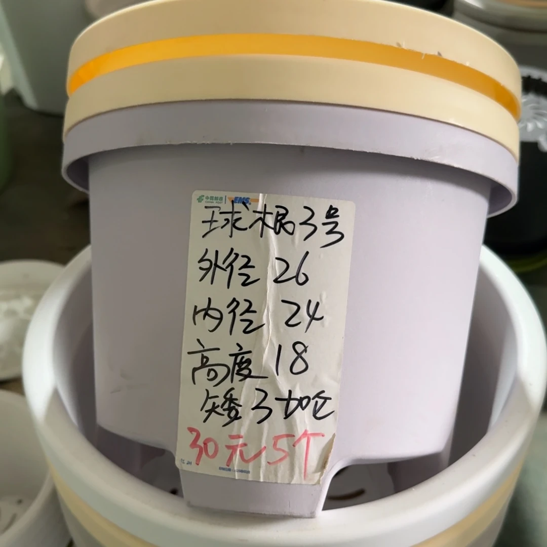球根3#口径25无拖灰白5个