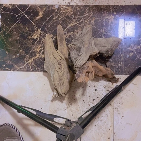 柏木古**香陈化到位坨坨疙瘩