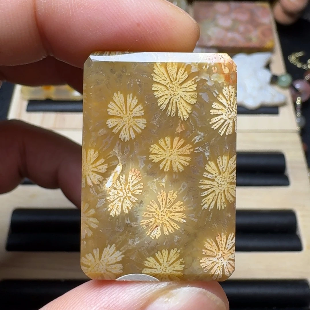 硅化玉未镶嵌纯天然色有机玉石保真色
