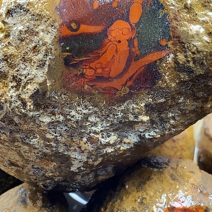 满***星定制玛瑙未镶嵌战国红玛瑙定制不退不换