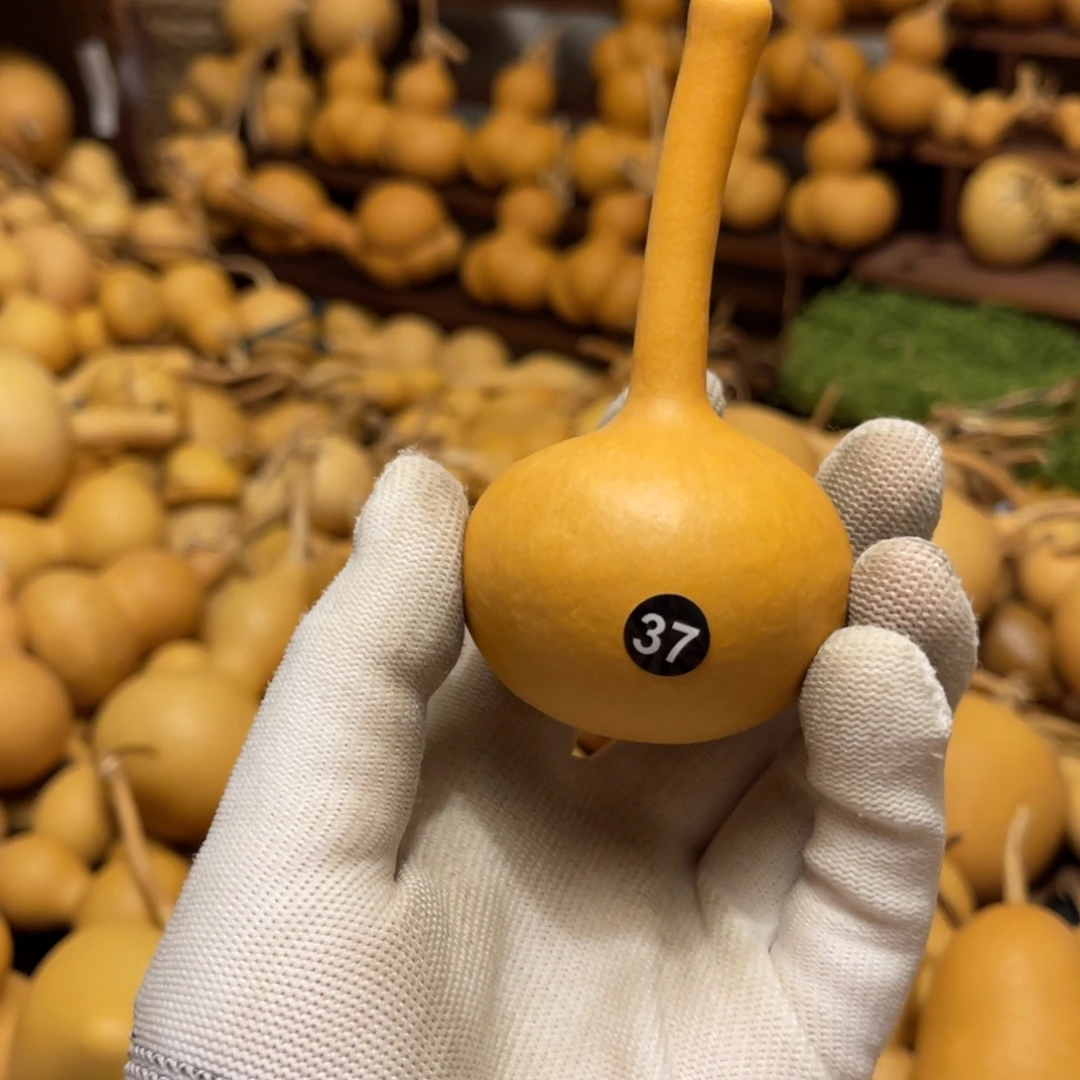 闪拍葫芦链接-37号品