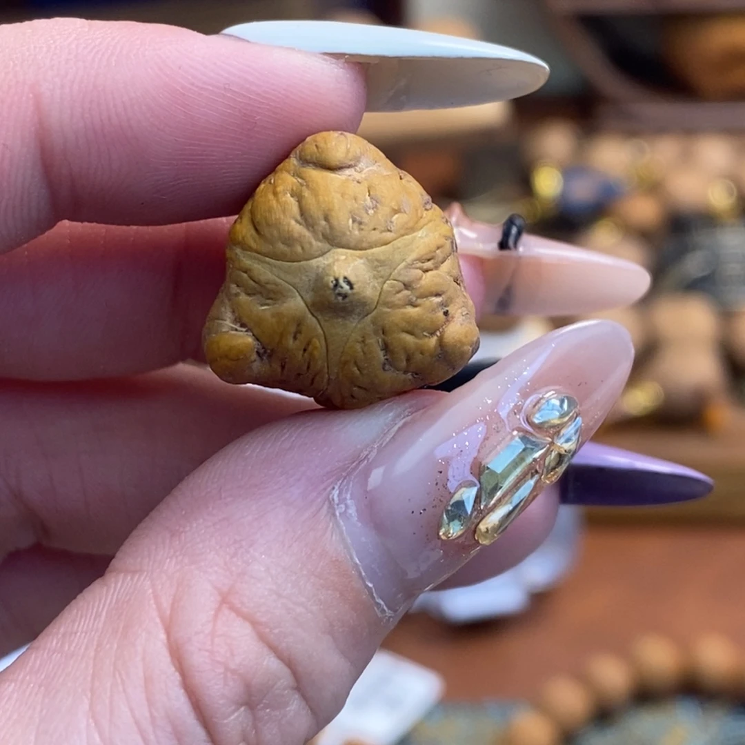 凤眼菩提吊坠18.4龙眼龙爪单颗