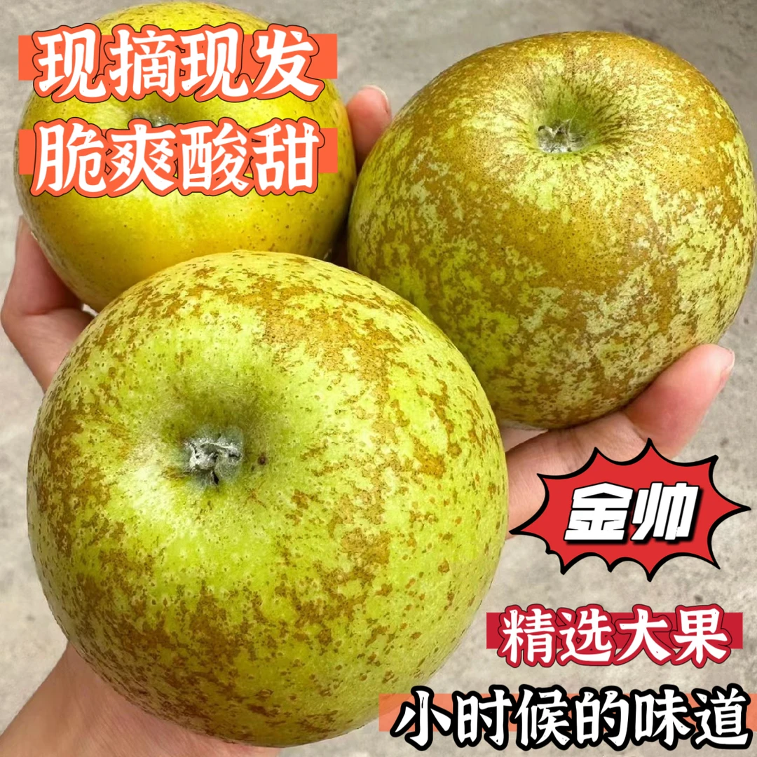 【酸甜】酥金帅青苹果当季大沙河青香蕉黄元帅新鲜水果整箱江苏省