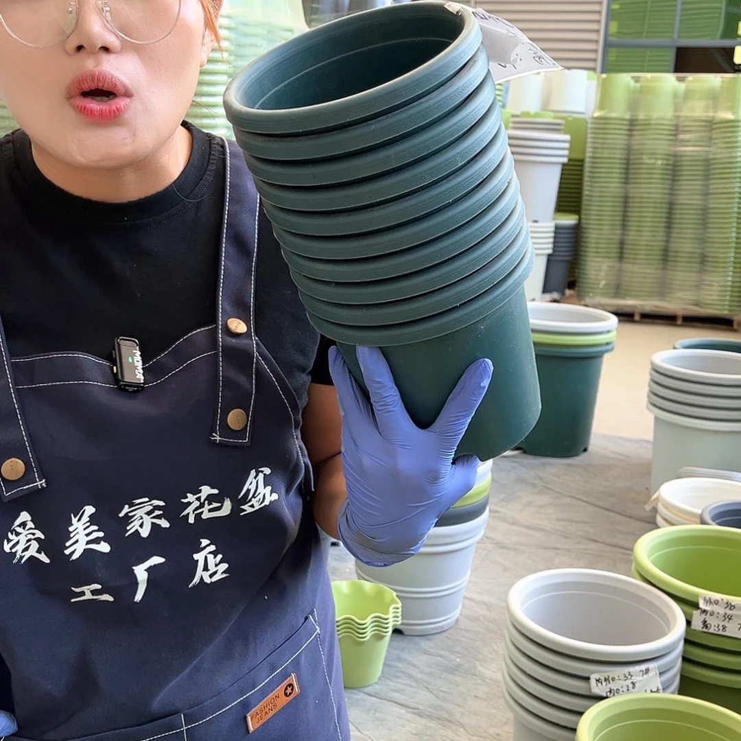 四季盆2#墨绿色10个含托