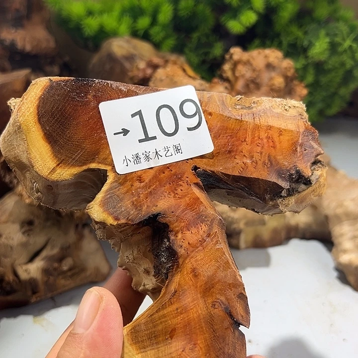 用***6香榧木麻梨疙瘩料