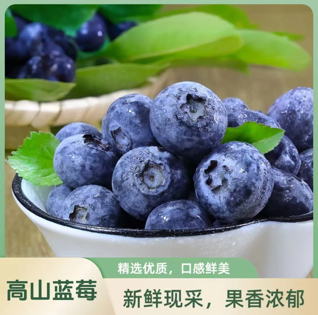 【顺丰速递买三送三】云南高山花香蓝莓现摘现发当季鲜果新鲜脆甜