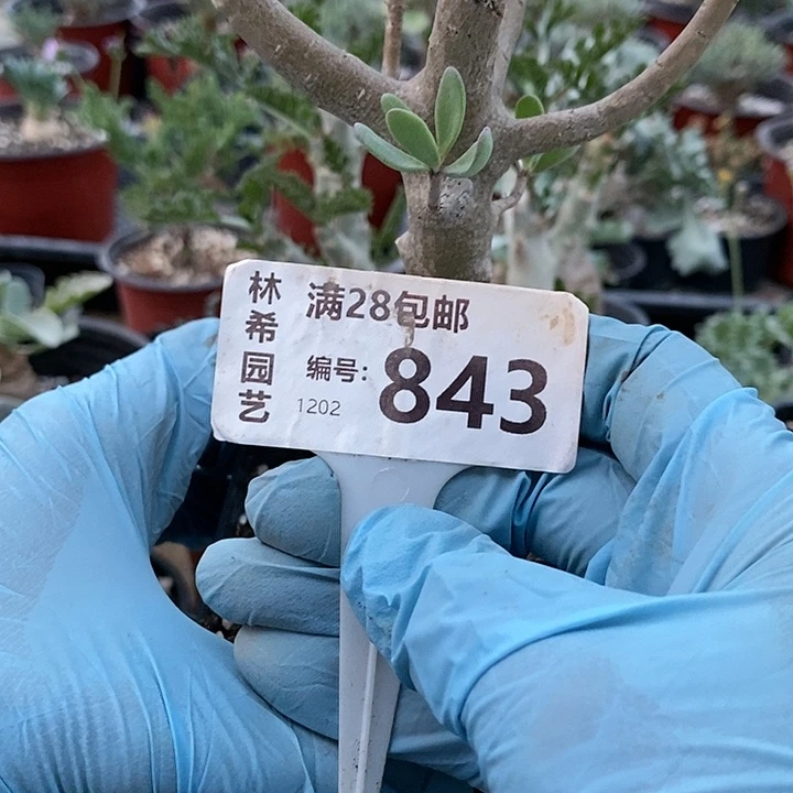 843一一一一一一一一一