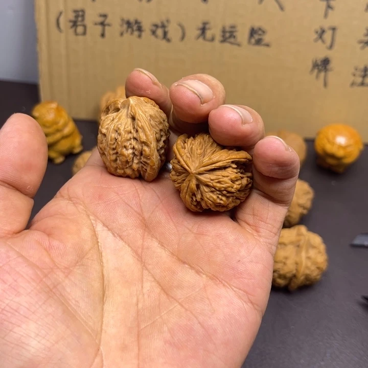 齐***齐菩提籽类楼子三棱