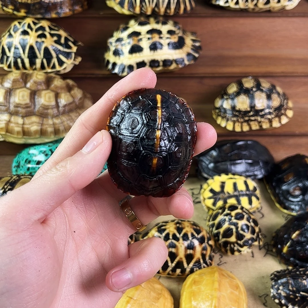 肆****个好结局吧哥哥出j姐