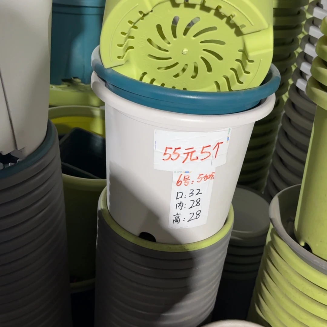 四季6#口径32无拖果绿5个