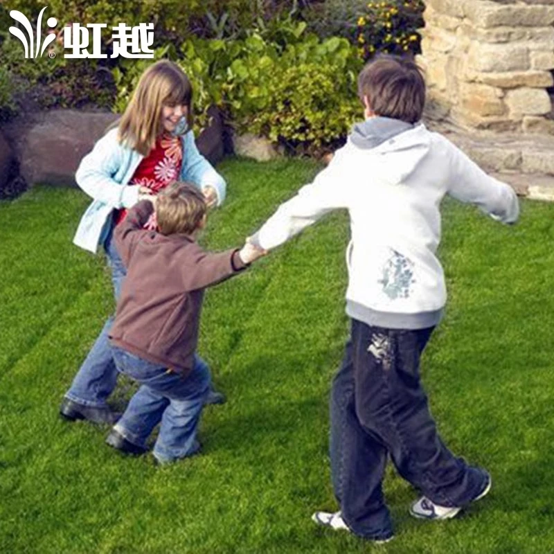 种花王大爷 四季黑麦草种子植物阳台庭院室内室外