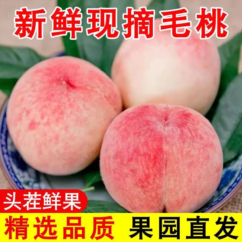 【顺丰包邮】龙泉水蜜桃子脆桃现摘新鲜红桃当季孕妇水果脆甜