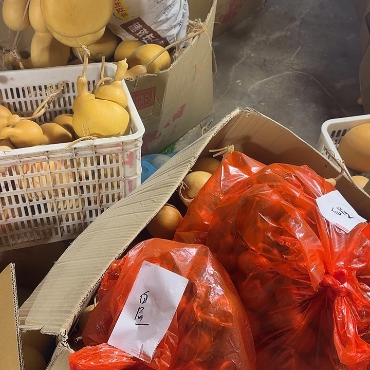 *****葫芦处理葫芦葫芦葫芦