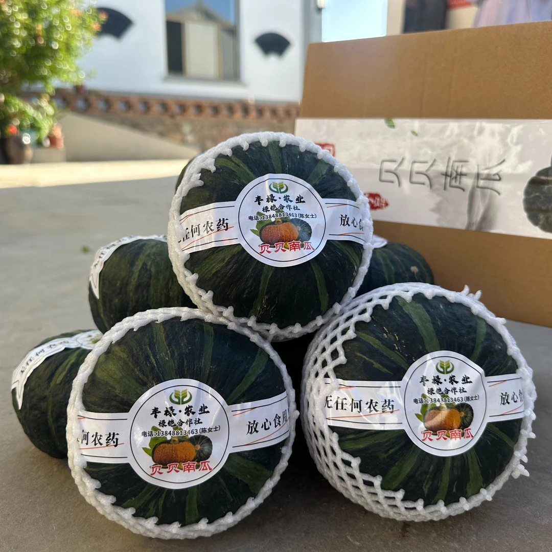 丰禄贝贝南瓜5斤【5-7颗中果】河套特产✦自产自销★惠和一号-超粉8号
