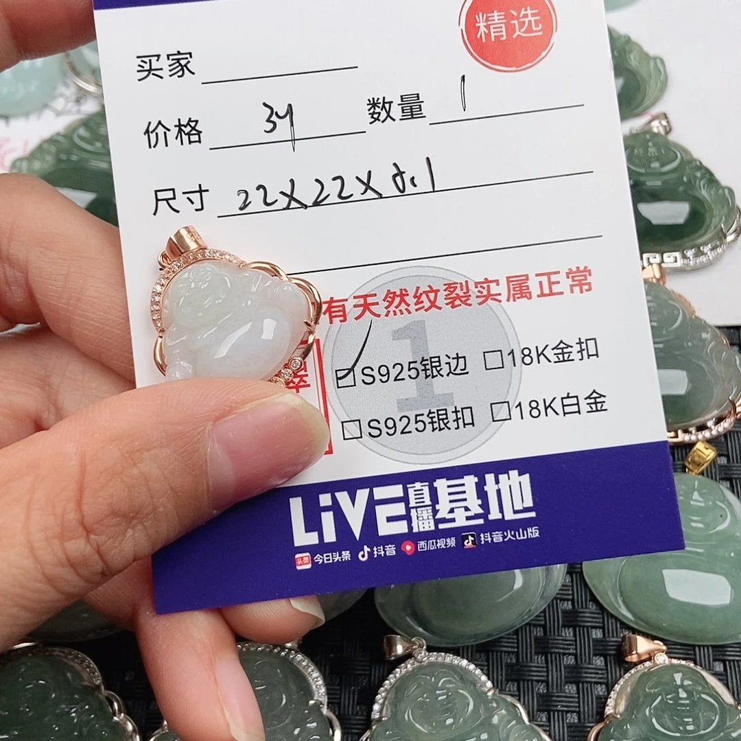 翡翠银S925镶嵌颈饰