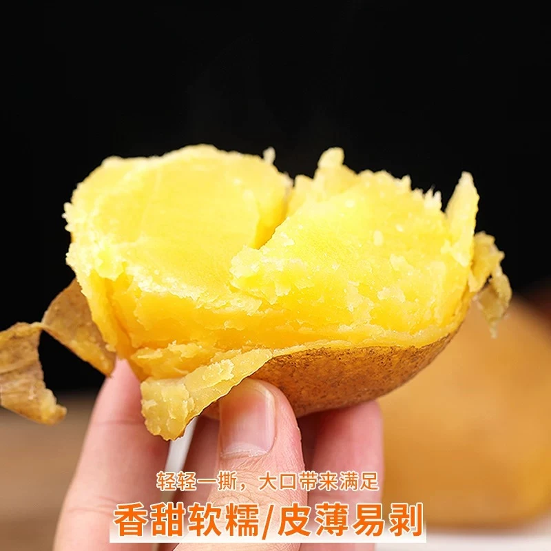 2025新鲜土豆甘肃定西沙糯粉面开花洋芋粗麻皮沙地黄皮黄心