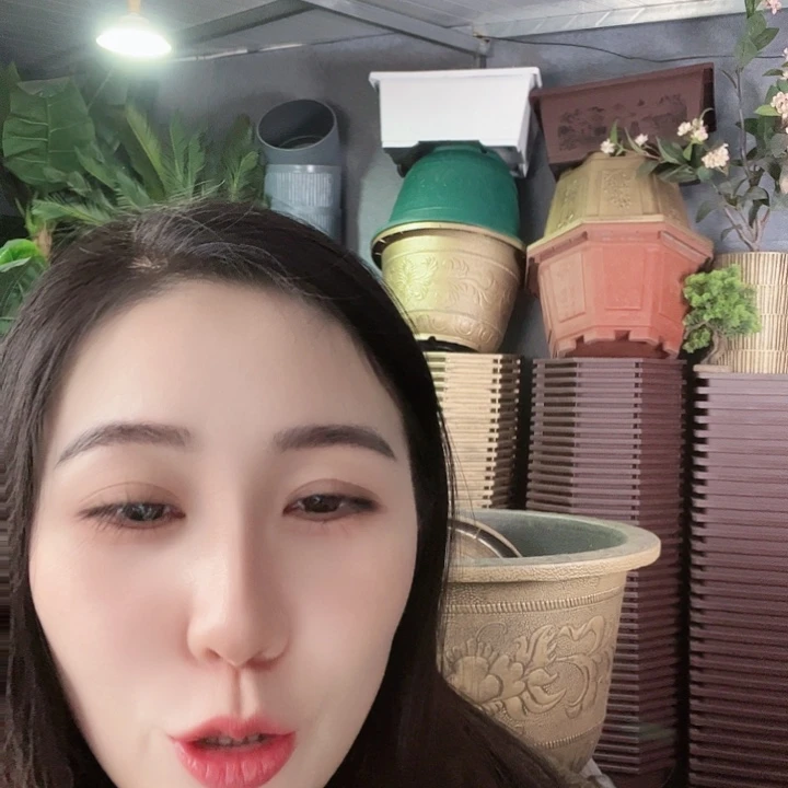 圆50口径花盆两个