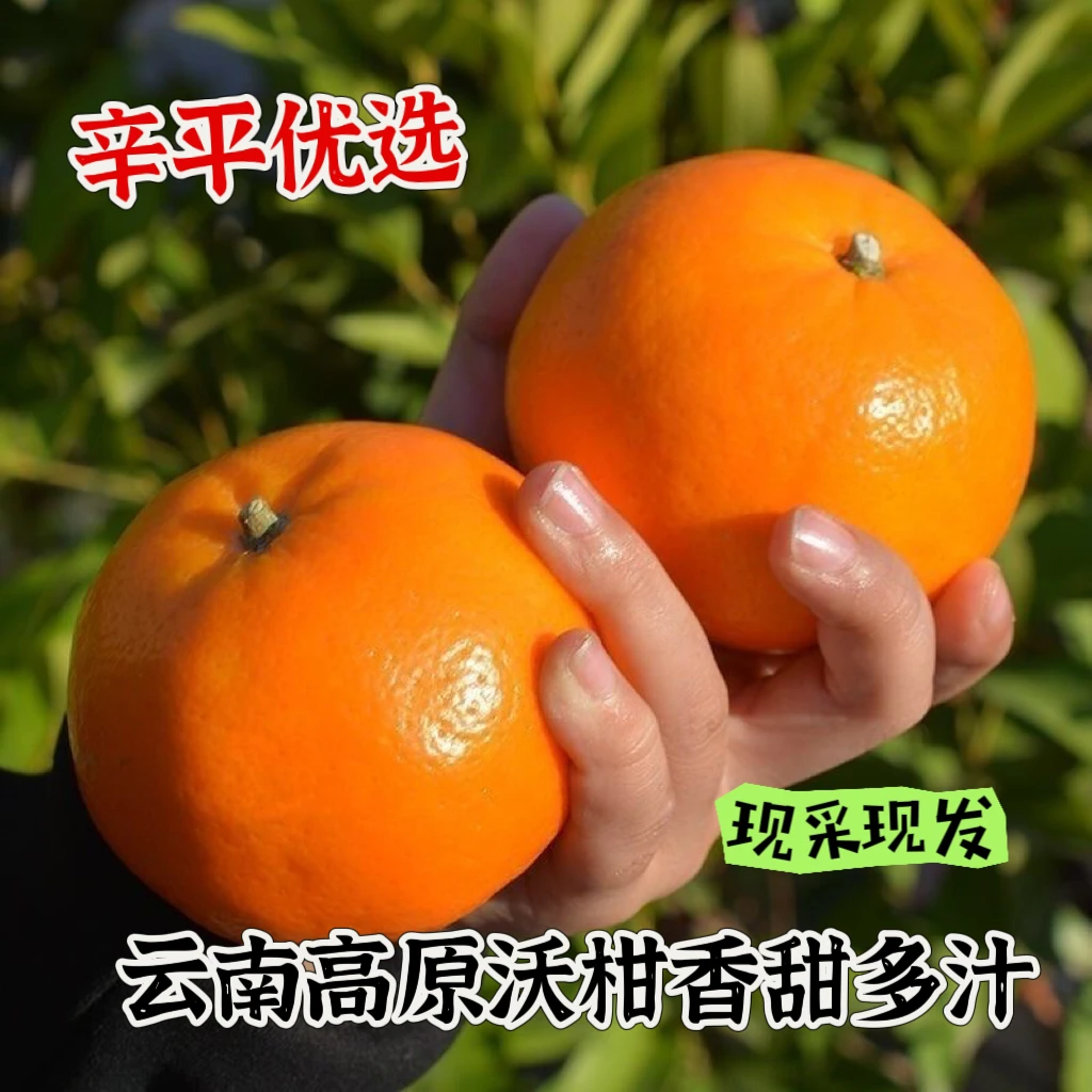 辛平优选云南高原沃柑香甜多汁新鲜发货