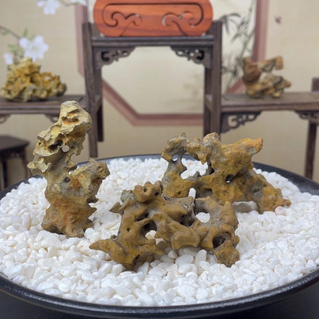 6.5*3.5/6*3/6*4苏州太湖水石一方