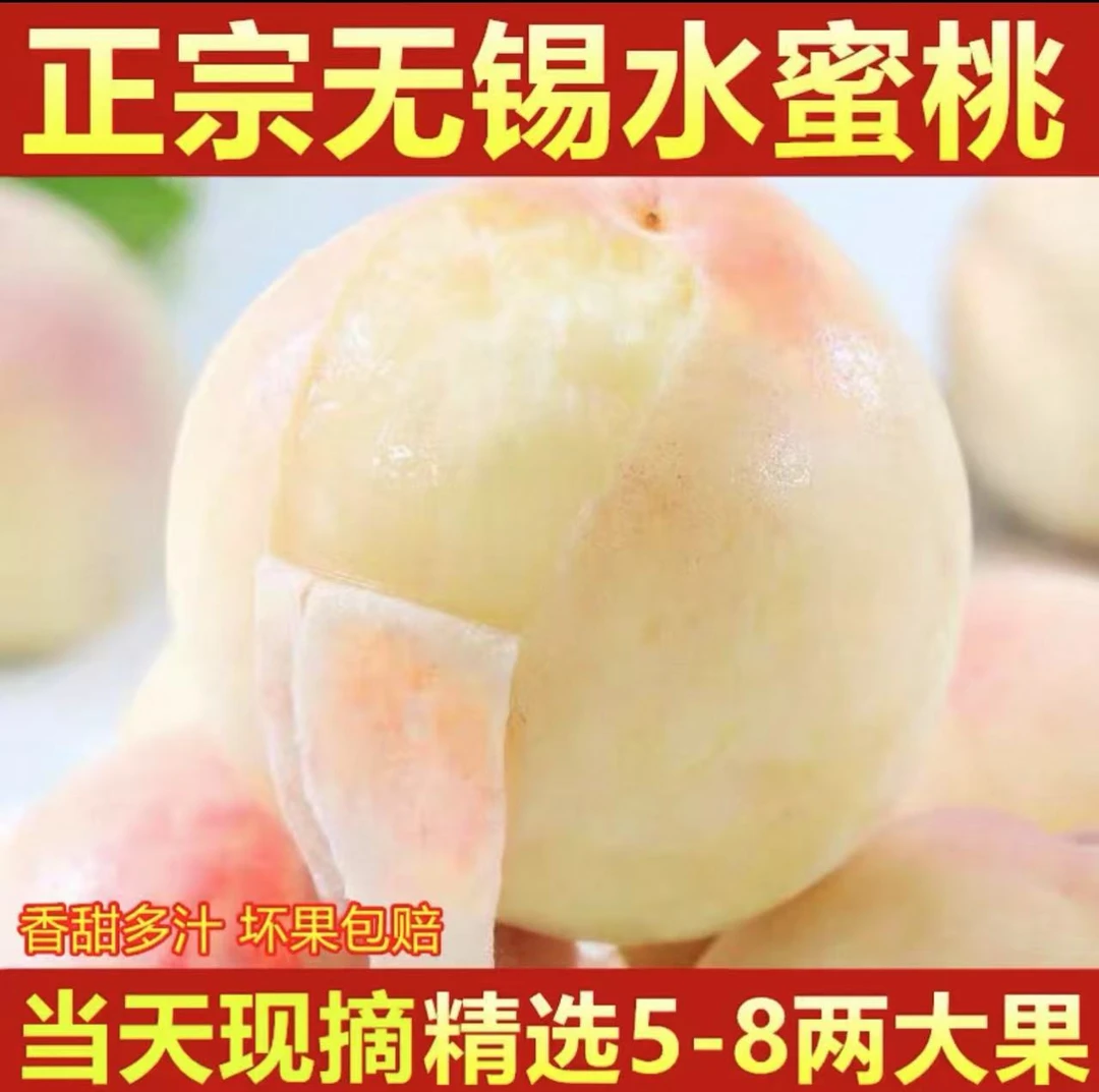 【6-5两】正宗无锡水蜜桃新鲜现摘软硬两吃礼盒装江苏省