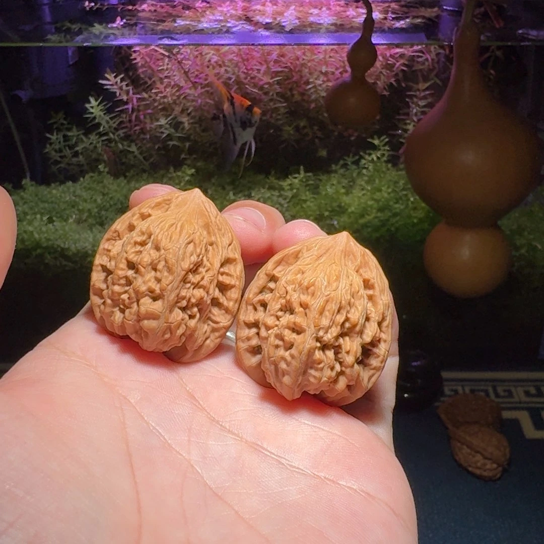 新手福利练手对霞云岭