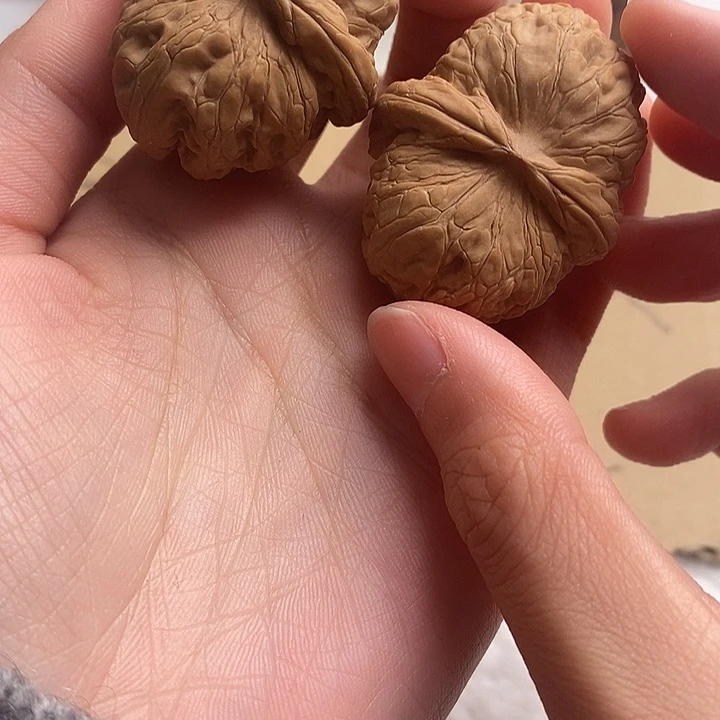 文玩核桃吊坠R****.元宝