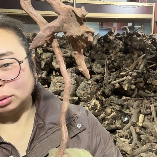 香榧木厂****纸火琉璃的故事毛料摆件