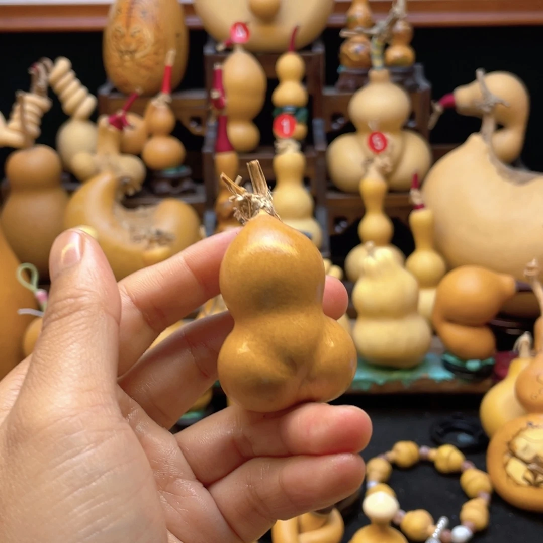 先*大自然的秘密是什么呢我