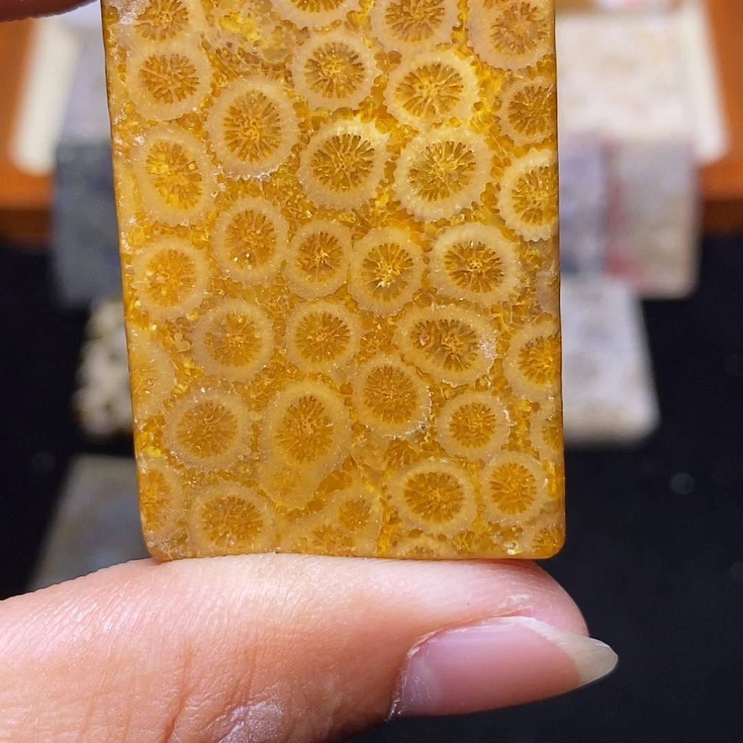 秋***降硅化玉合金珊瑚玉