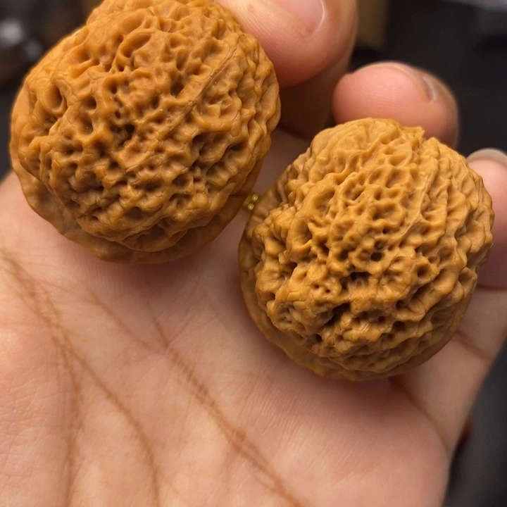 把件文玩核桃35尺蚂蚁元宝