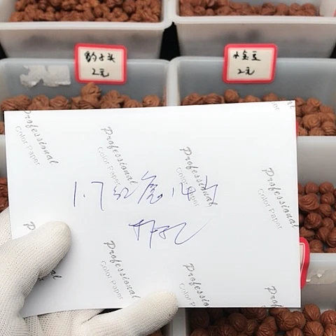 桃核吊坠跳**?龙纹桃核的搭配