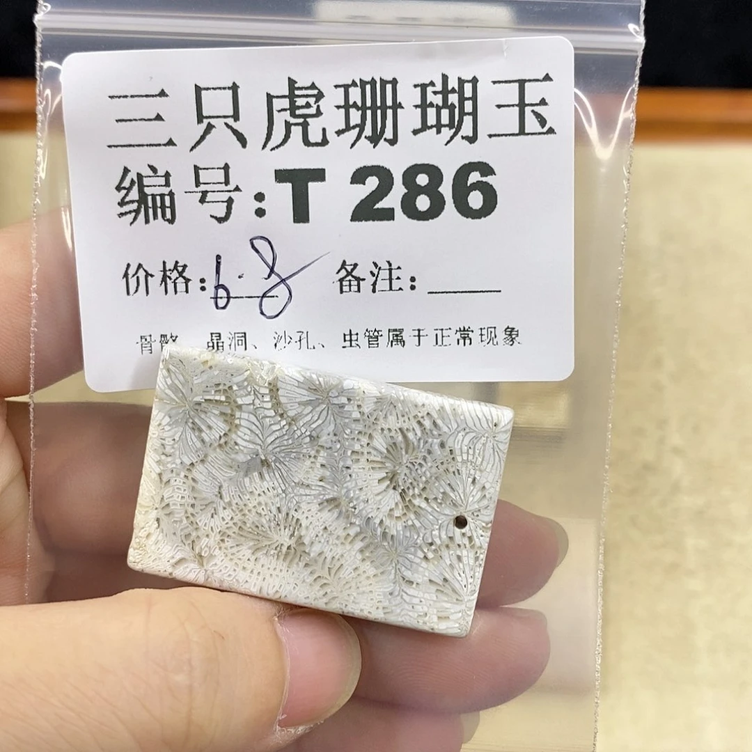 硅化珊瑚（珊瑚玉）1未镶嵌大*橙