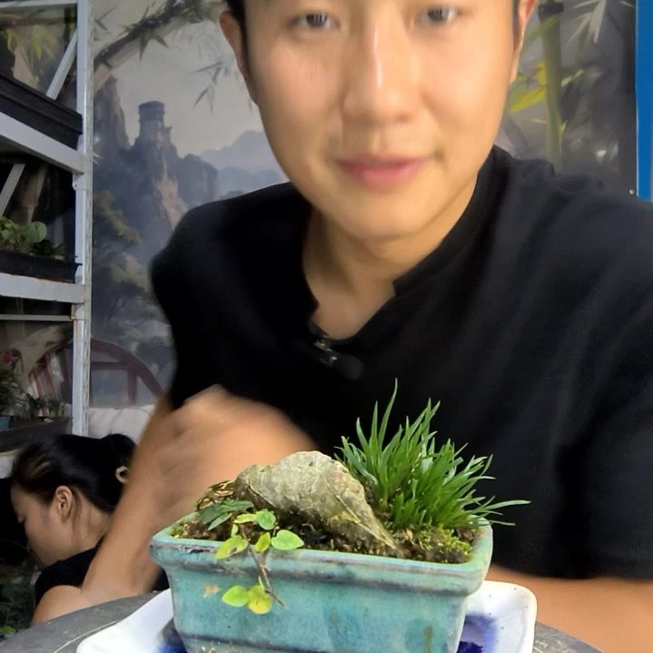 Y***仔中青园艺一物一拍254