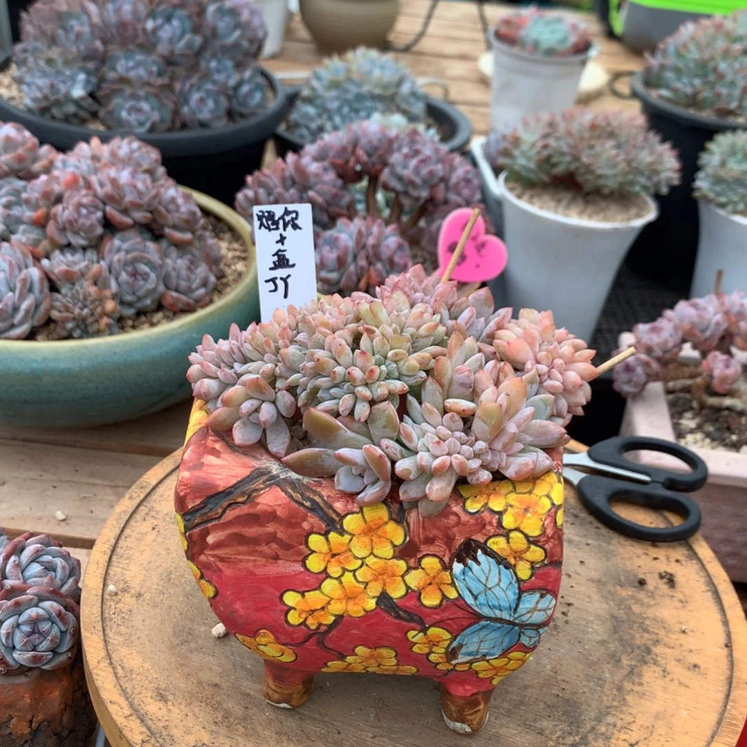 赠***深哈哈哈哈哈哈哈哈哈哈哈哈哈