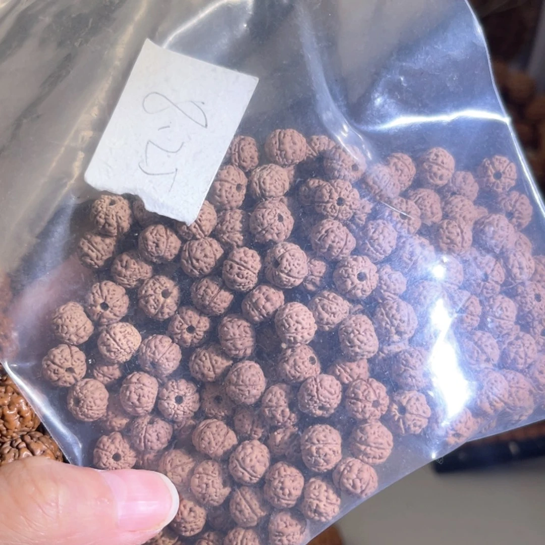 吊坠金刚菩提散籽