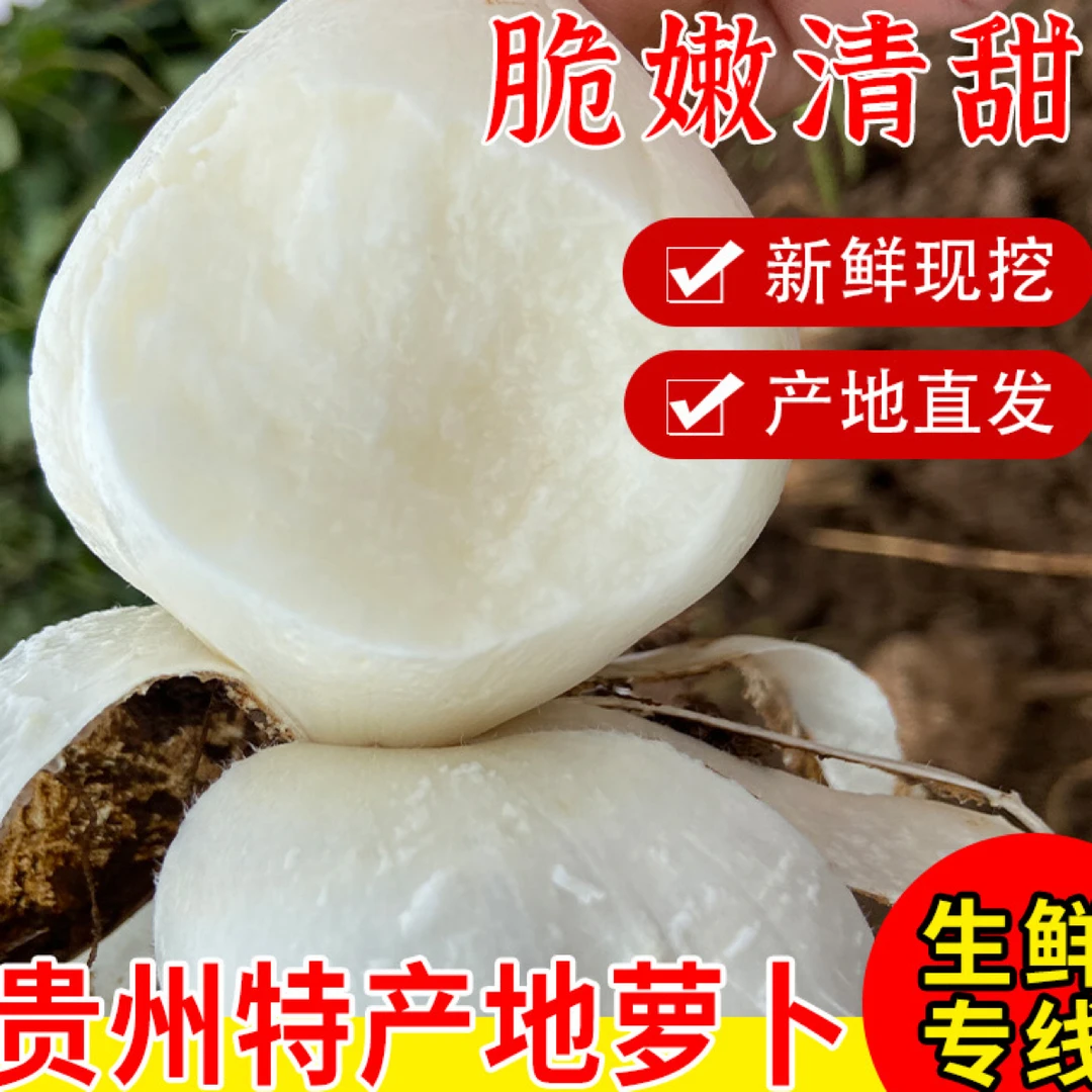 贵州高山地萝卜、细腻化渣、汁水充足！