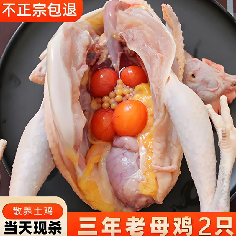 老母鸡新鲜冷冻散养鸡新鲜冷冻鸡肉生鲜正宗农家散养土鸡顺丰包邮