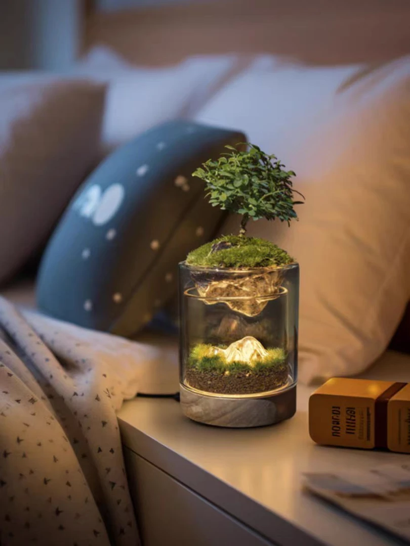 揽山 有光青年纯手工治愈微景观生态瓶室内桌面绿植节日送礼