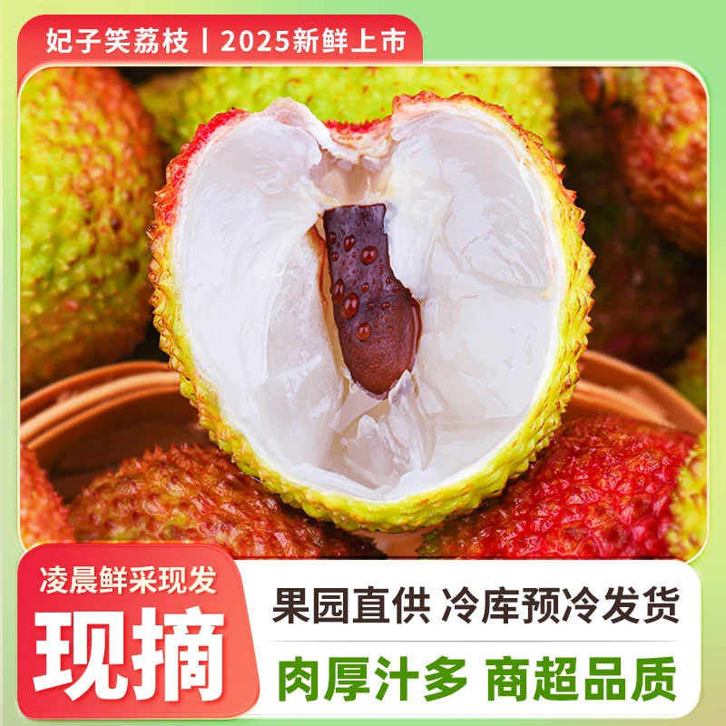 ZHIO新鲜夏季现摘妃子笑荔枝顺丰冷链包邮应季水果单果16-20g