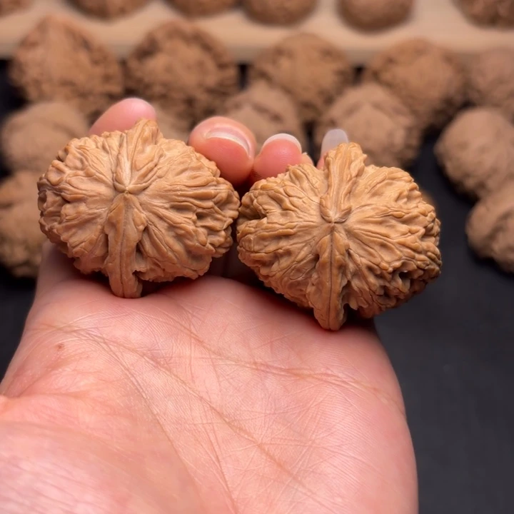 把件文玩核桃36白狮子