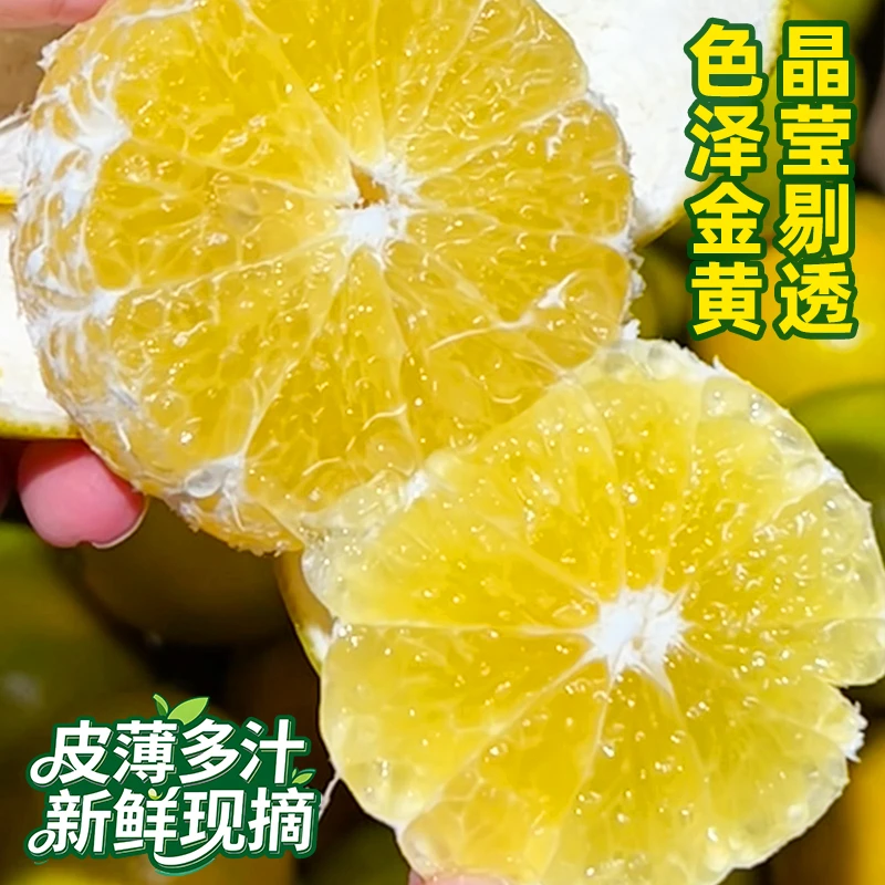 正宗丹霞贡柑皇帝柑新鲜当季水果现摘现发皮薄多汁