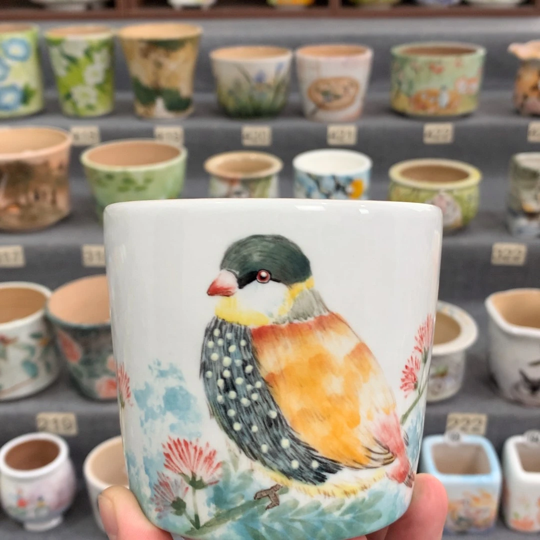 罐618全场8.5折特惠专场