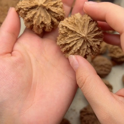 桃核吊坠秦岭山脉⛰️？秦岭6