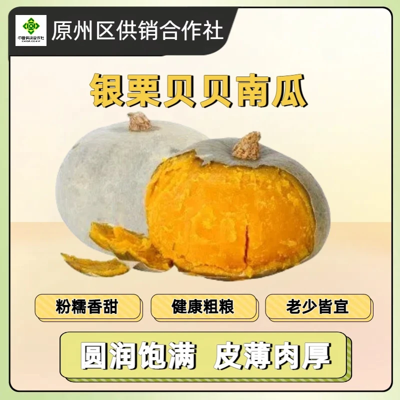 银板栗南瓜粉糯香甜可辅食代餐的优质蔬菜