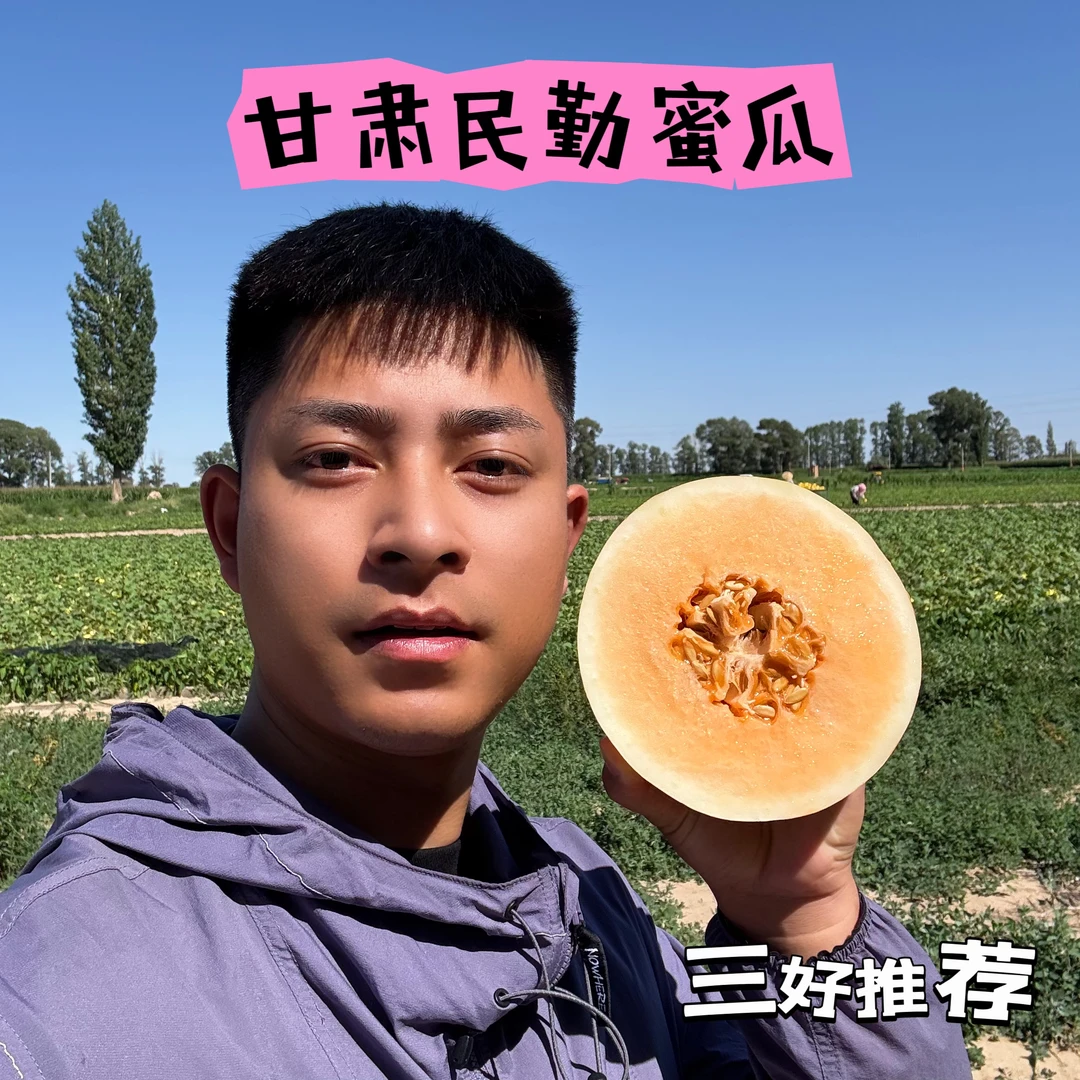 三好推荐-正宗甘肃民勤蜜瓜香甜多汁新鲜水果