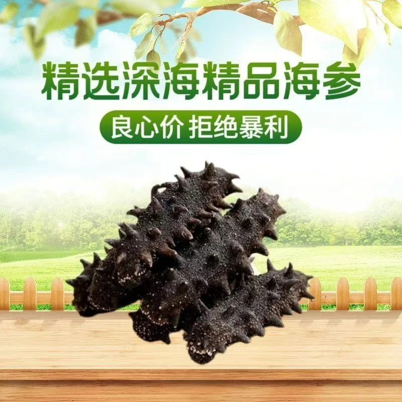 12-14斤泡发率淡干海参渤海湾长岛海参刺参非即食工厂直营