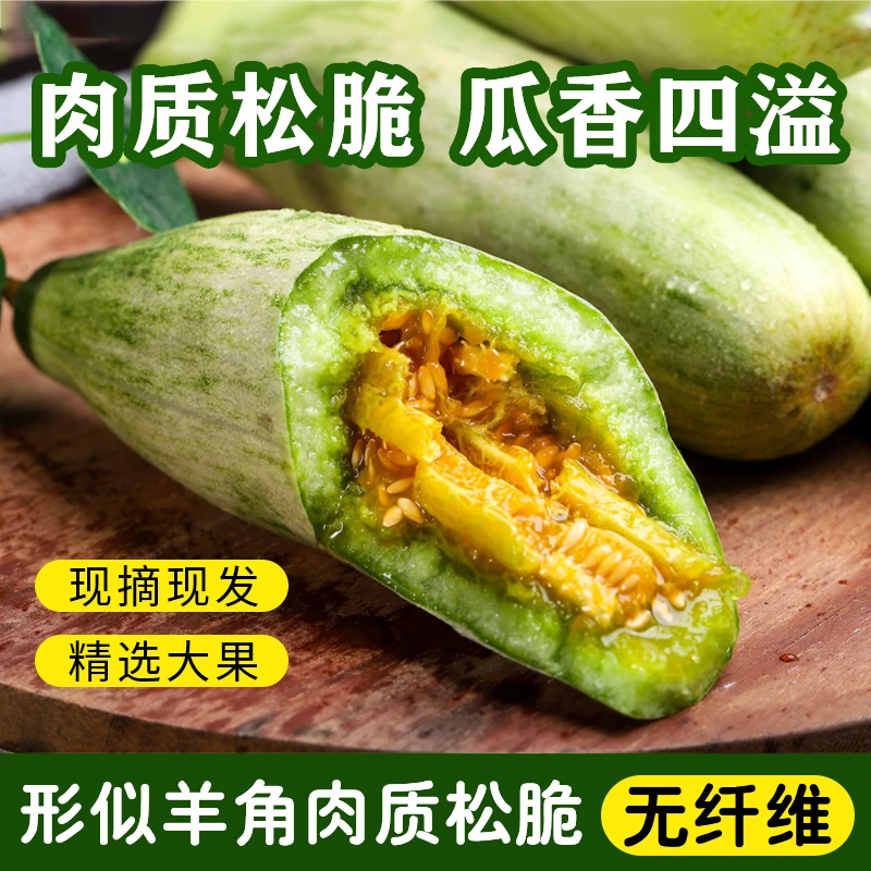 [顺丰包邮]头茬羊角蜜甜瓜新鲜现摘酥脆清甜水果应季蜜瓜1/3/5斤