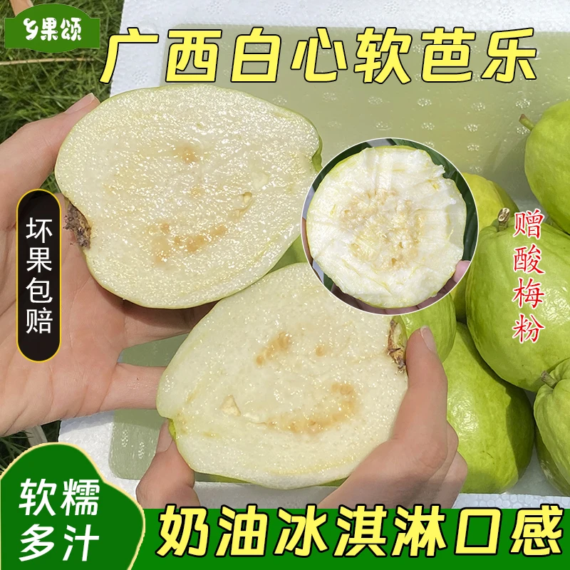 广西白心奶油芭乐软糯香甜当季新鲜水果红心芭乐低糖鸡屎果番石榴