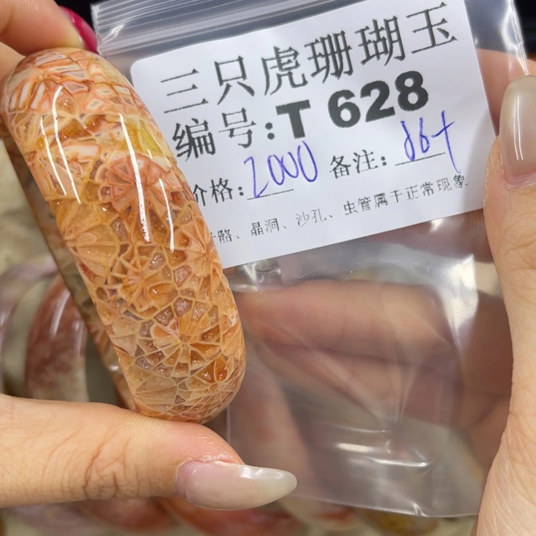 硅化珊瑚（珊瑚玉）t足银镀金镶嵌敏***尔