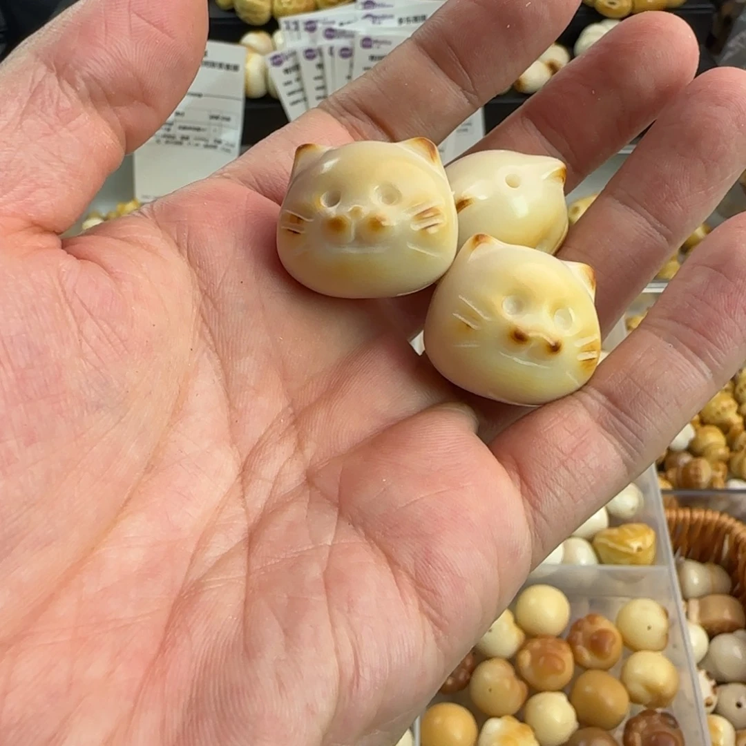 手串菩提根/象牙果微瑕疵海豹猫3颗炭烤